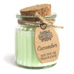 2 x Lovely Cucumber Soy Pot Fragrance Candles