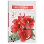 Set of 6 Scented Tealights - Hibiscus & White Sage