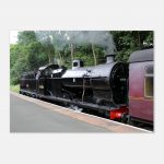 1e74e611-8fc9-4372-a43c-afa8f5b777da