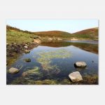 9b0ee1b3-f875-4ea4-8377-e4baf9ec4832