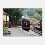 a0a93590-89d6-400a-91cc-58a01c6d71c2