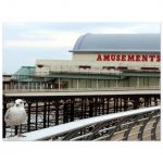 Blackpool Seagull At The North Pier Fine Art Poster 45x60 cm / 18x24″