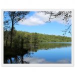 5215fd4f-f764-4716-abb9-0052ba8f6f08