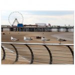 Seagulls And Pier, Blackpool Fine Art Poster 45x60 cm / 18x24″