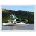 fdd9d25f-36cd-48fa-b412-8305733dbed3